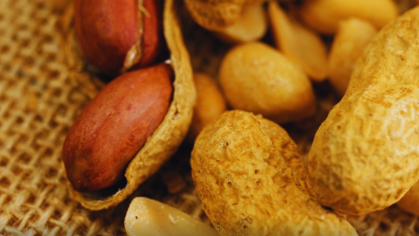 Close-up of peanuts on a burlap surface