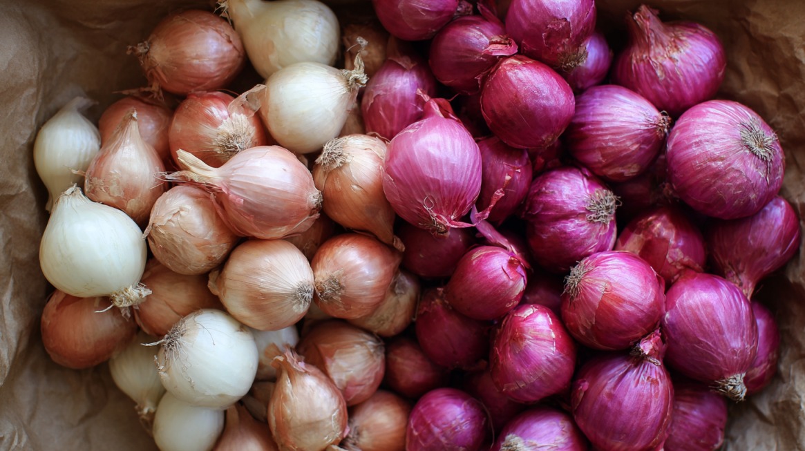 Side-by-side display of shallots on the left and red onions on the right, highlighting their differences in flavor and aroma