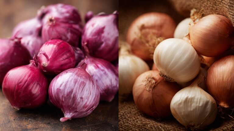 Side-by-side comparison of red shallots and yellow/white onions, highlighting their visual differences.