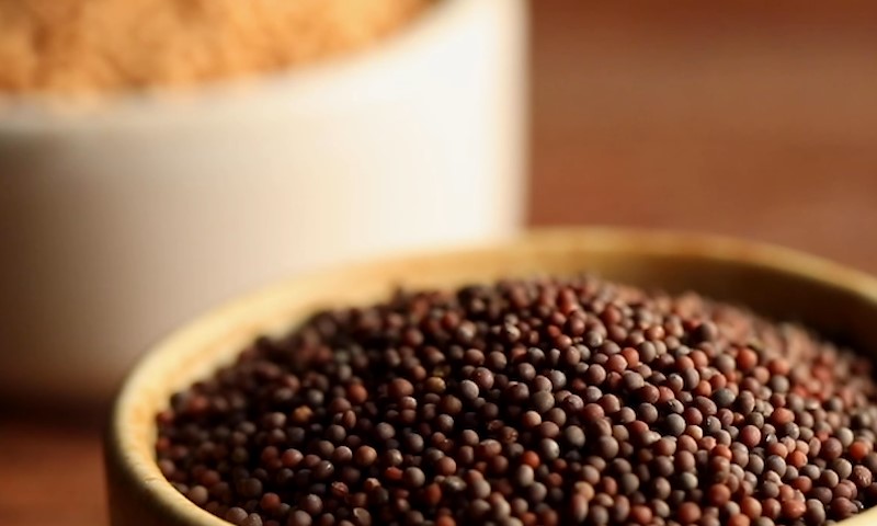 A close-up of a bowl filled with dark mustard seeds